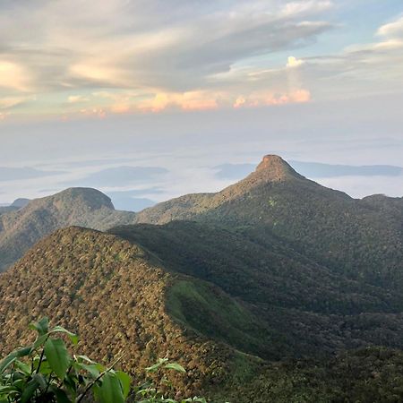 Hotel Mango Tree Nearest Adam'S Peak ナラタニヤ エクステリア 写真