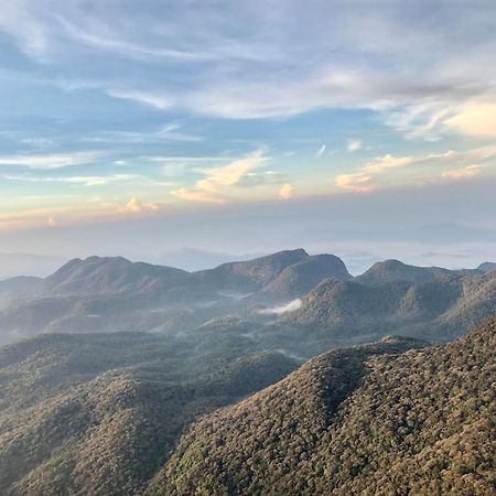 Hotel Mango Tree Nearest Adam'S Peak ナラタニヤ エクステリア 写真