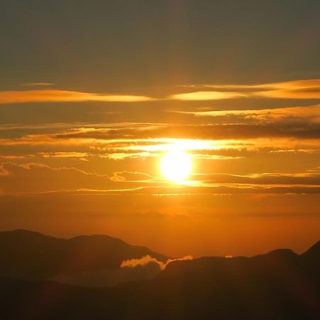 Hotel Mango Tree Nearest Adam'S Peak ナラタニヤ エクステリア 写真