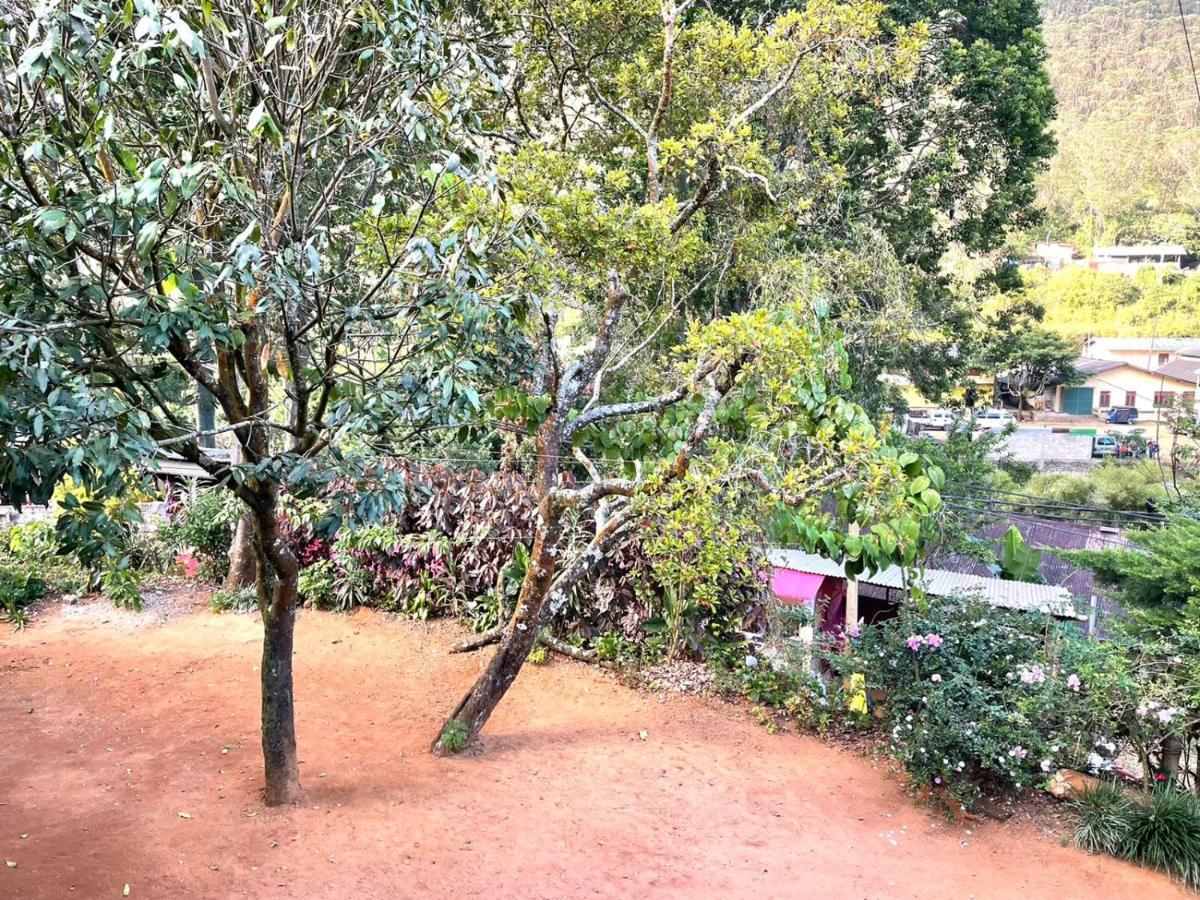 Hotel Mango Tree Nearest Adam'S Peak ナラタニヤ エクステリア 写真