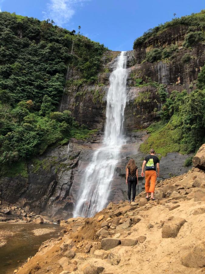 Hotel Mango Tree Nearest Adam'S Peak ナラタニヤ エクステリア 写真