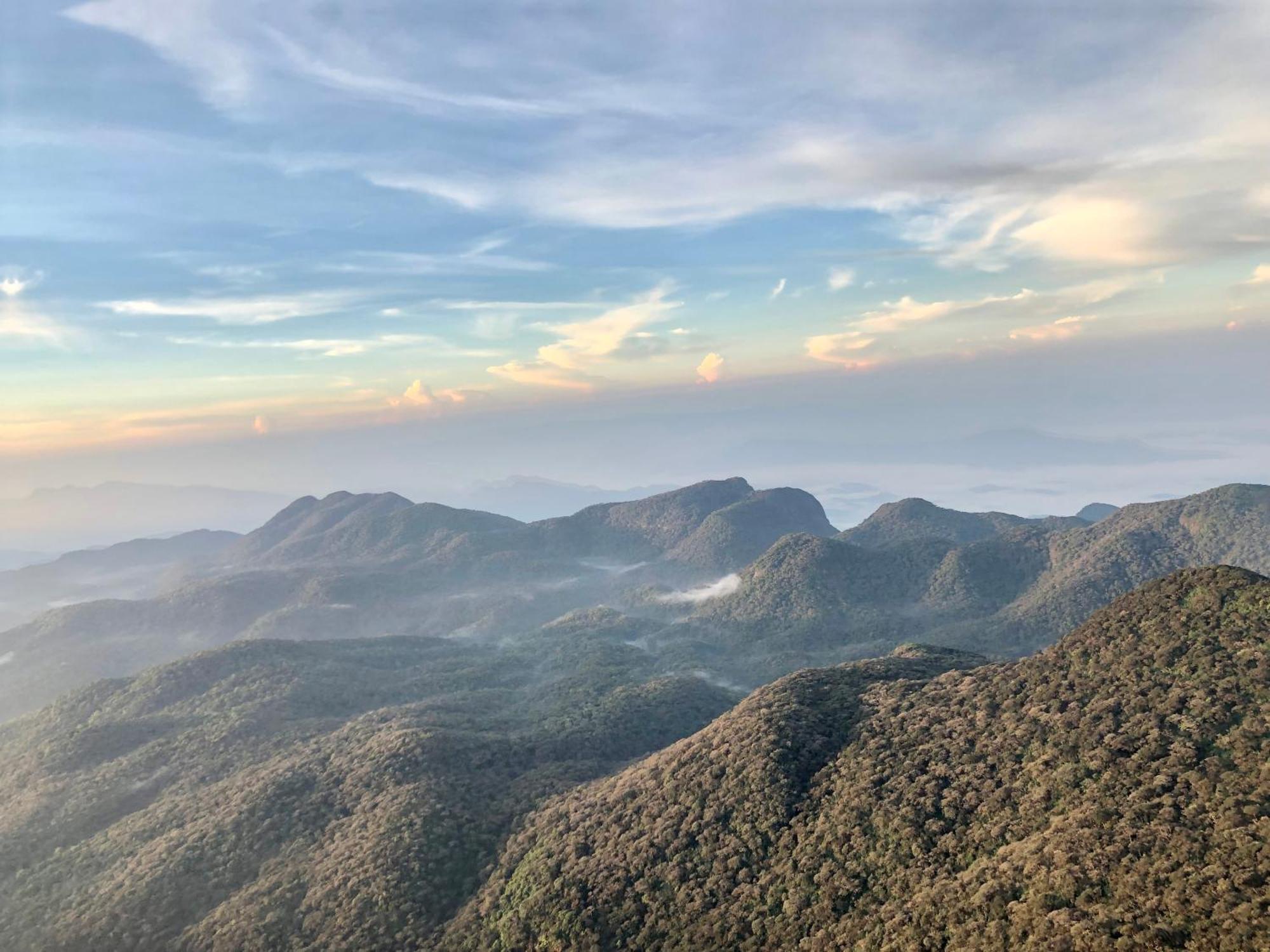 Hotel Mango Tree Nearest Adam'S Peak ナラタニヤ エクステリア 写真