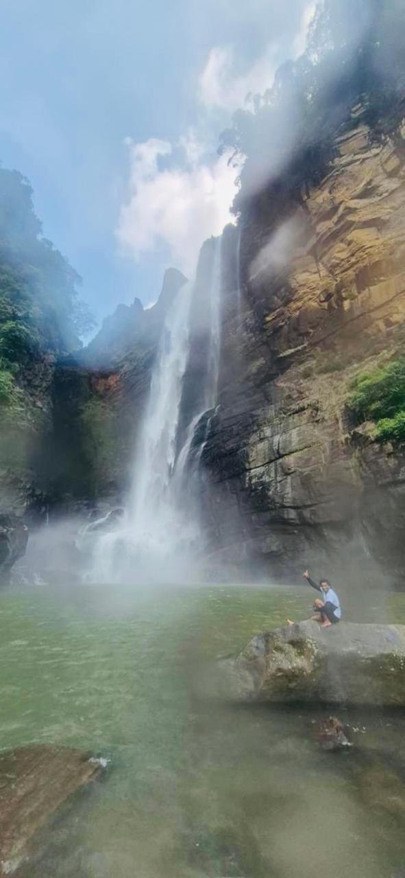 Hotel Mango Tree Nearest Adam'S Peak ナラタニヤ エクステリア 写真