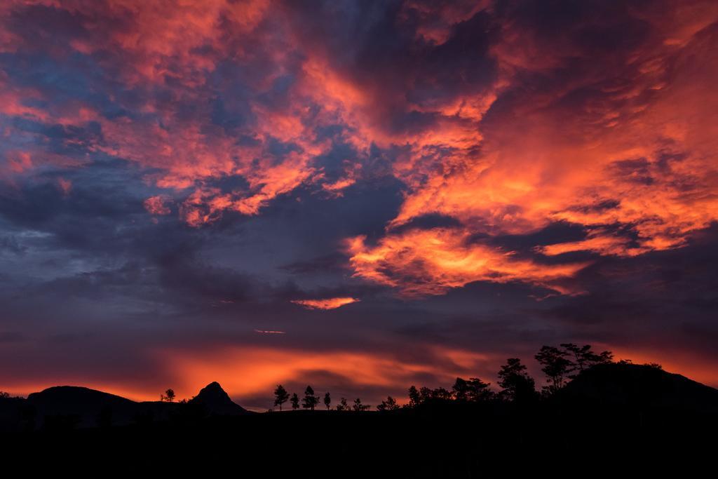 Hotel Mango Tree Nearest Adam'S Peak ナラタニヤ エクステリア 写真