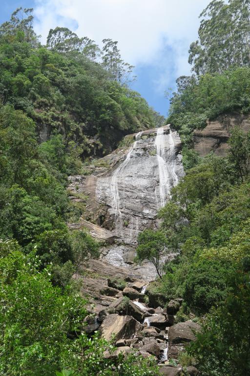 Hotel Mango Tree Nearest Adam'S Peak ナラタニヤ エクステリア 写真