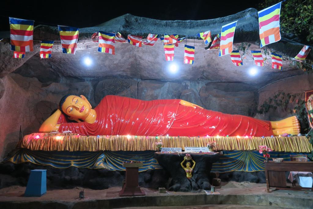 Hotel Mango Tree Nearest Adam'S Peak ナラタニヤ エクステリア 写真