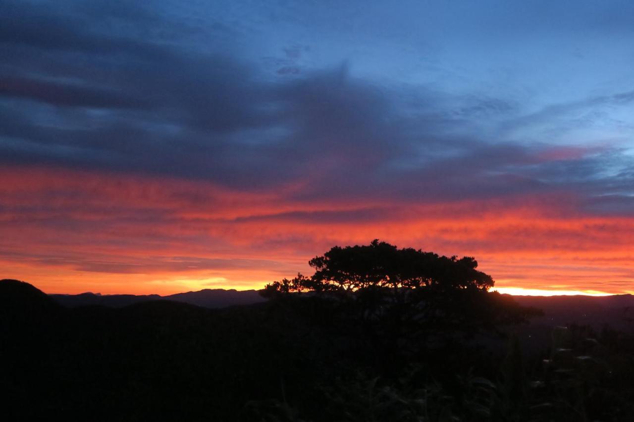 Hotel Mango Tree Nearest Adam'S Peak ナラタニヤ エクステリア 写真