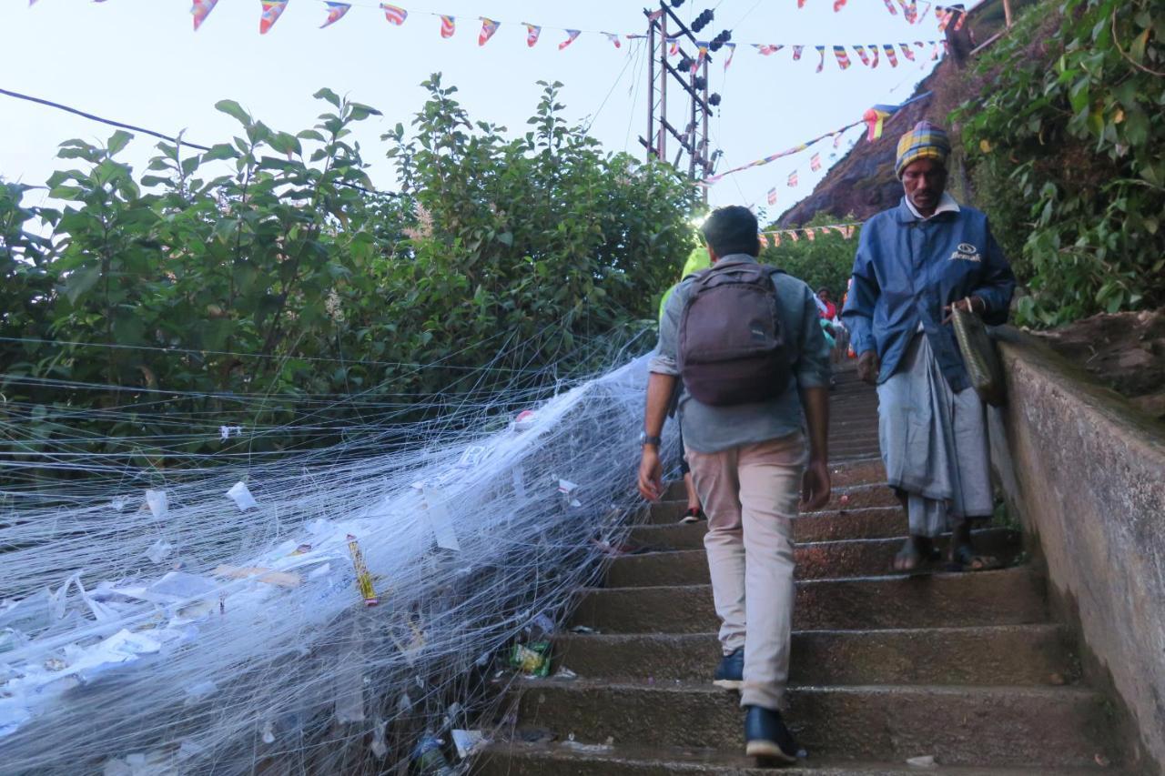 Hotel Mango Tree Nearest Adam'S Peak ナラタニヤ エクステリア 写真